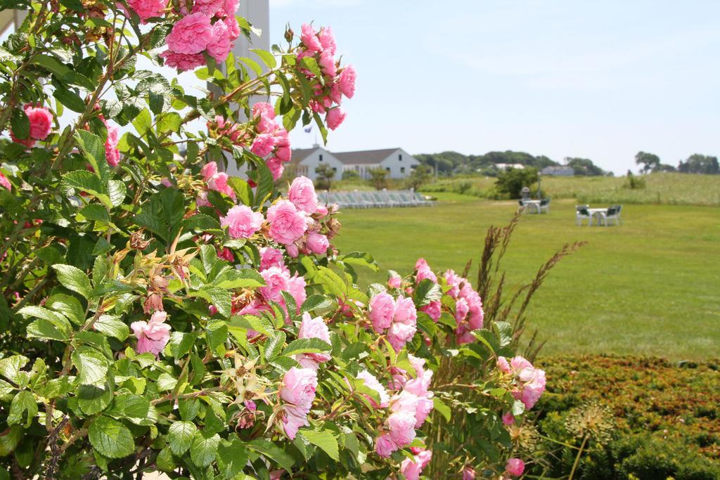 The Seaside Inn Kennebunk Eksteriør billede